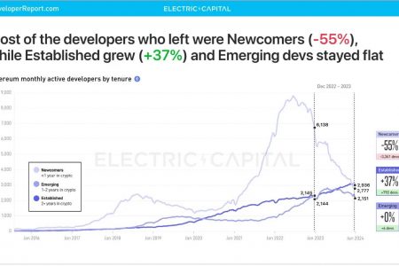 Electric Capital：未来是多链的，不要忽视加密社交和NFT的影响力缩略图