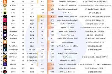 下半年牛市爆发 你必须了解的 BTC 生态未发币项目缩略图